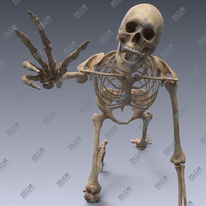 images/goods_img/2021040164/Human skeleton rigged. Animated readlistic vray scene and materials of human skeleton/2.jpg